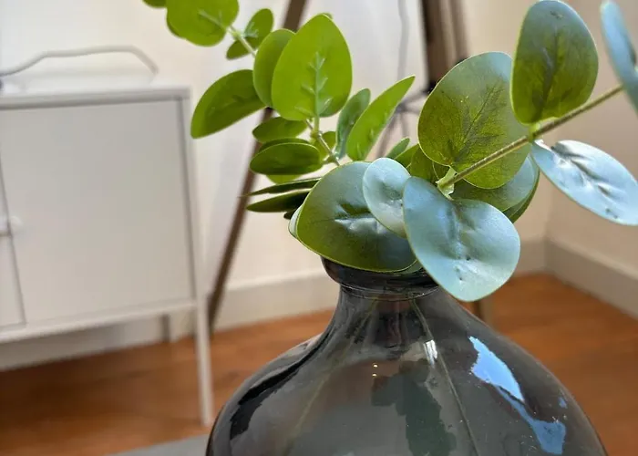 Διαμέρισμα Le Marin - Superbe T3 Spacieux Ροσφόρ